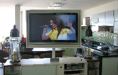 Plants: image 1 0f 12 thumb